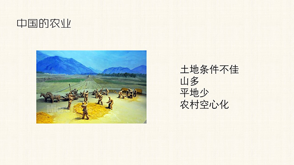 03.jpg
