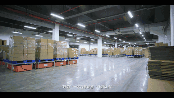 010.gif
